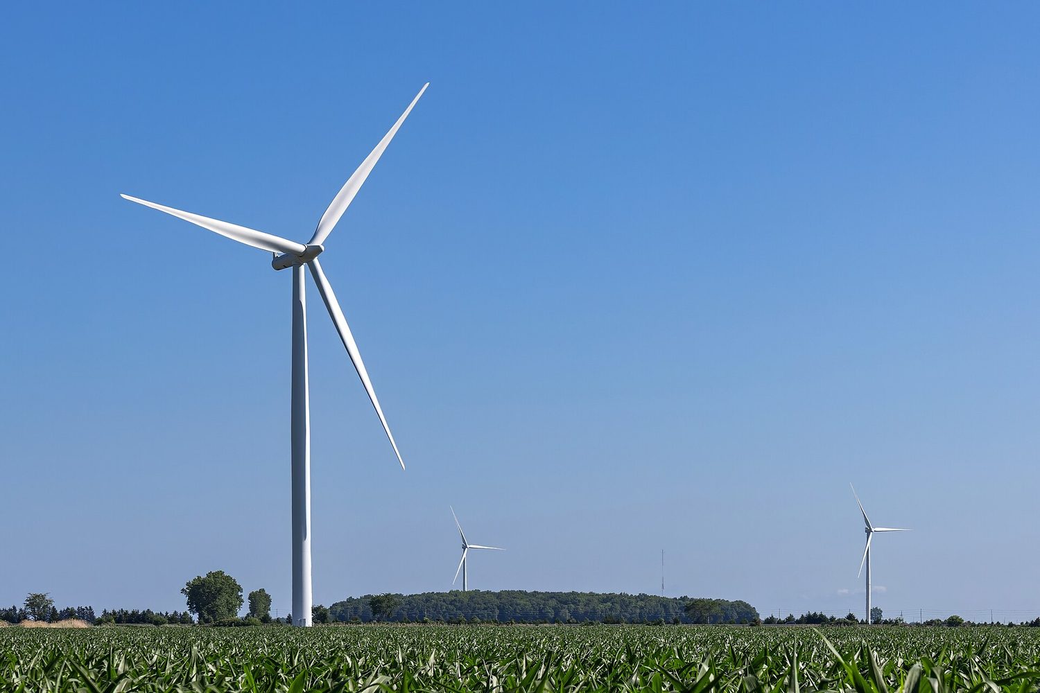 A row of wind turbines
