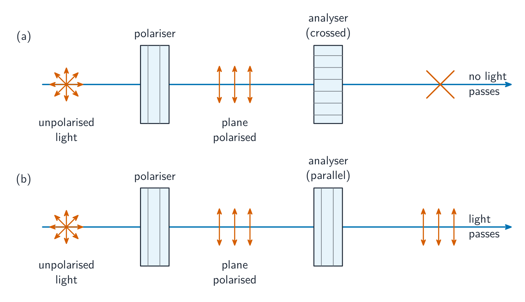Unpolarised light passes through a polariser to become plane polarised, then meets an analyser: in (a) the analyser's transmission axis is crossed (at right angles) and no light passes; in (b) it is parallel and the polarised light passes through
