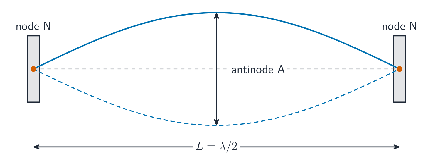 A stretched string vibrating in its fundamental mode: a single loop with a node at each fixed end and an antinode in the middle, length L equals half a wavelength