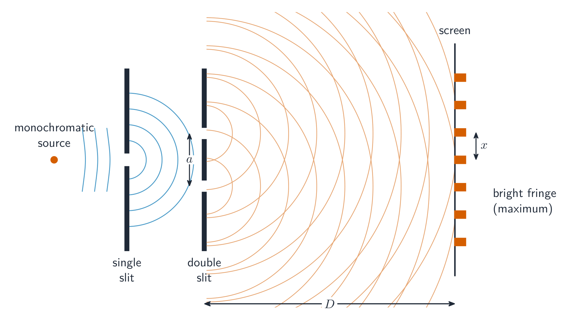 Monochromatic light through a single slit then a double slit a apart; diffracted light from each slit overlaps to form an interference pattern on a screen a distance D away, with fringe spacing x