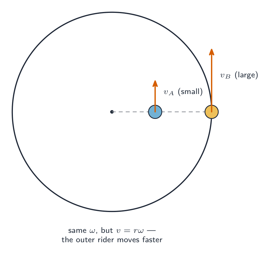 A turntable with two riders sharing the same angular speed; the inner rider has a short velocity arrow and the outer rider a long one, because v equals r times omega