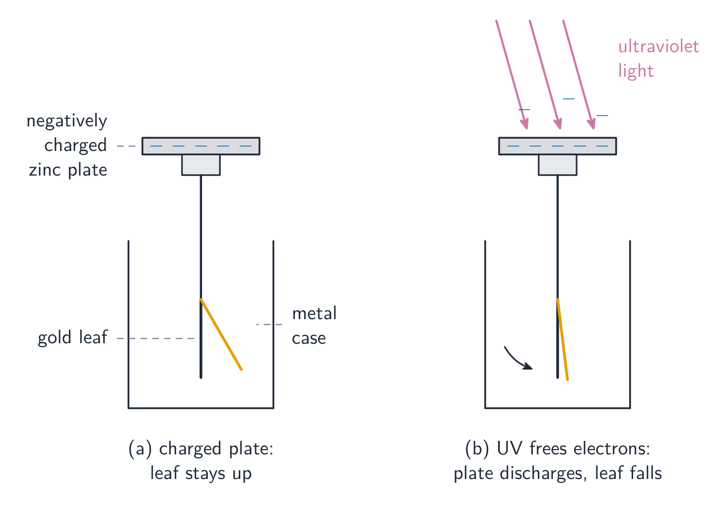 Two gold-leaf electroscopes carrying a negatively charged zinc plate: in the first the gold leaf stays deflected; in the second, ultraviolet light shining on the plate makes the leaf fall as charge is lost