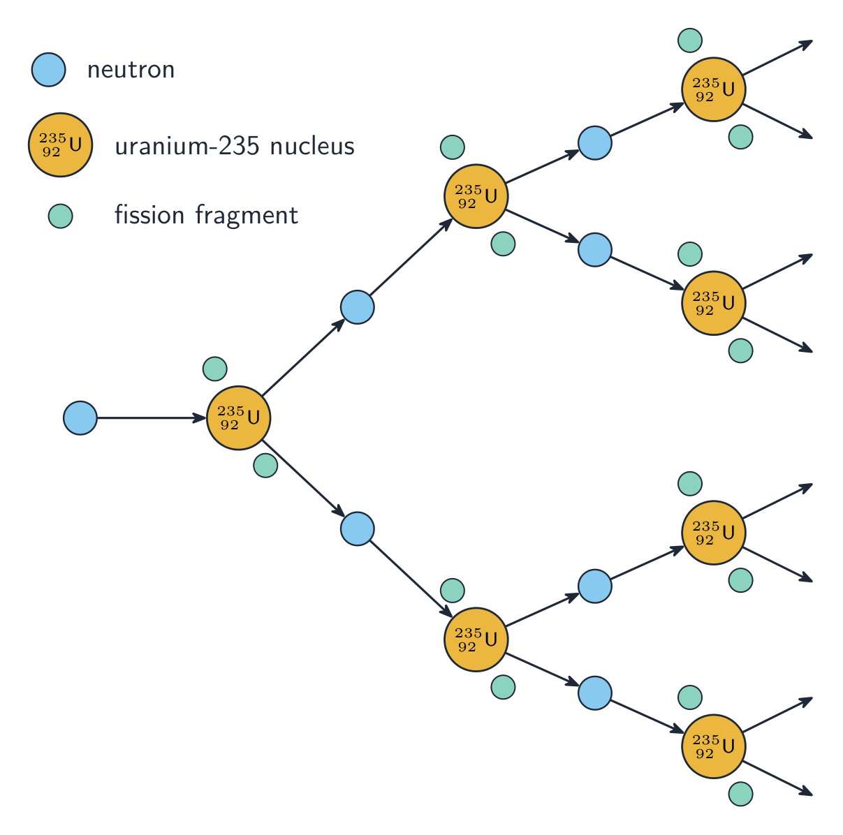 A branching tree in which one uranium-235 nucleus is split by a neutron into fission fragments plus neutrons, each of which splits a further uranium-235 nucleus, so the number of fissions multiplies generation by generation