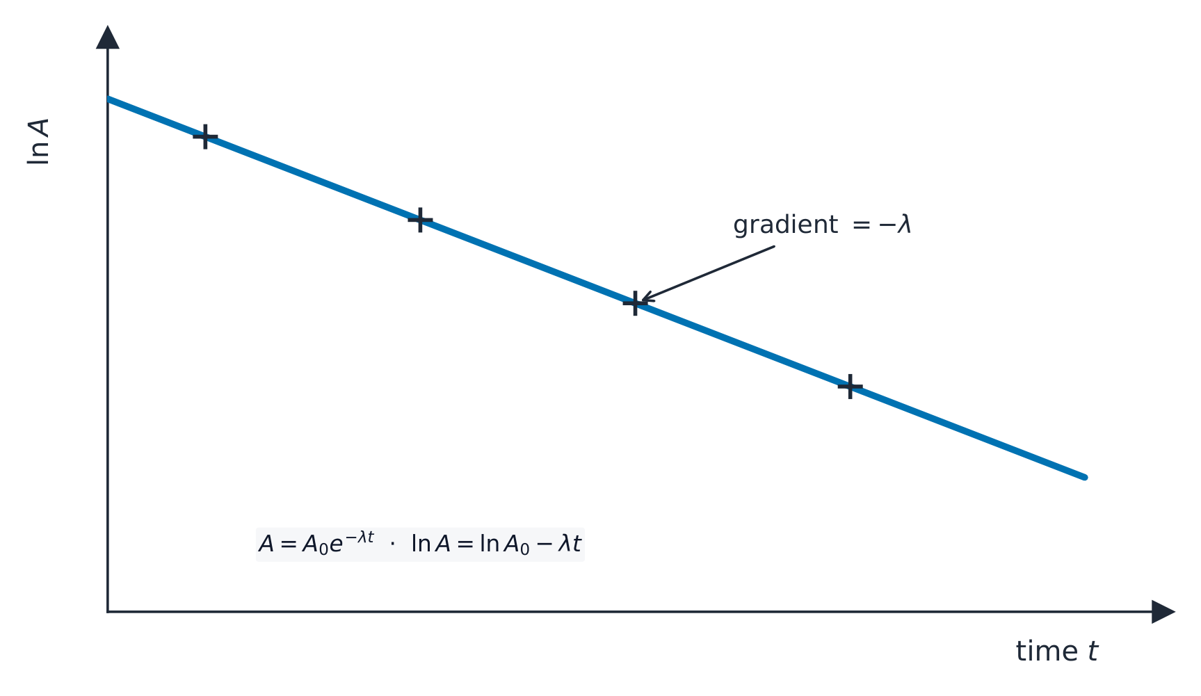 A graph of natural-log of activity against time: the data lie on a straight line falling with gradient minus lambda, confirming exponential decay and giving the decay constant