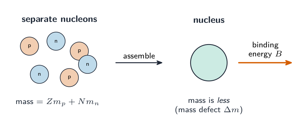 Separate protons and neutrons have total mass Z m_p + N m_n; when they assemble into a nucleus the nucleus has less mass (the mass defect), and that missing mass is released as the binding energy B