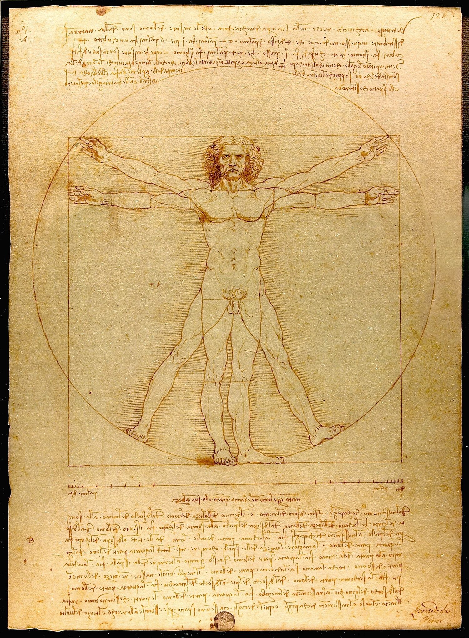 Leonardo's ink drawing of a man with arms and legs outstretched, fitted inside both a circle and a square