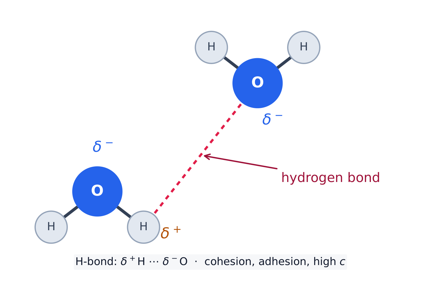 A hydrogen bond between two polar water molecules