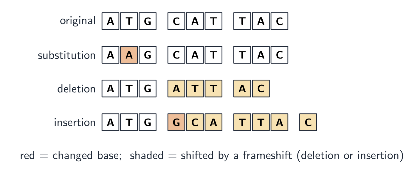 Substitution, deletion, and insertion mutations