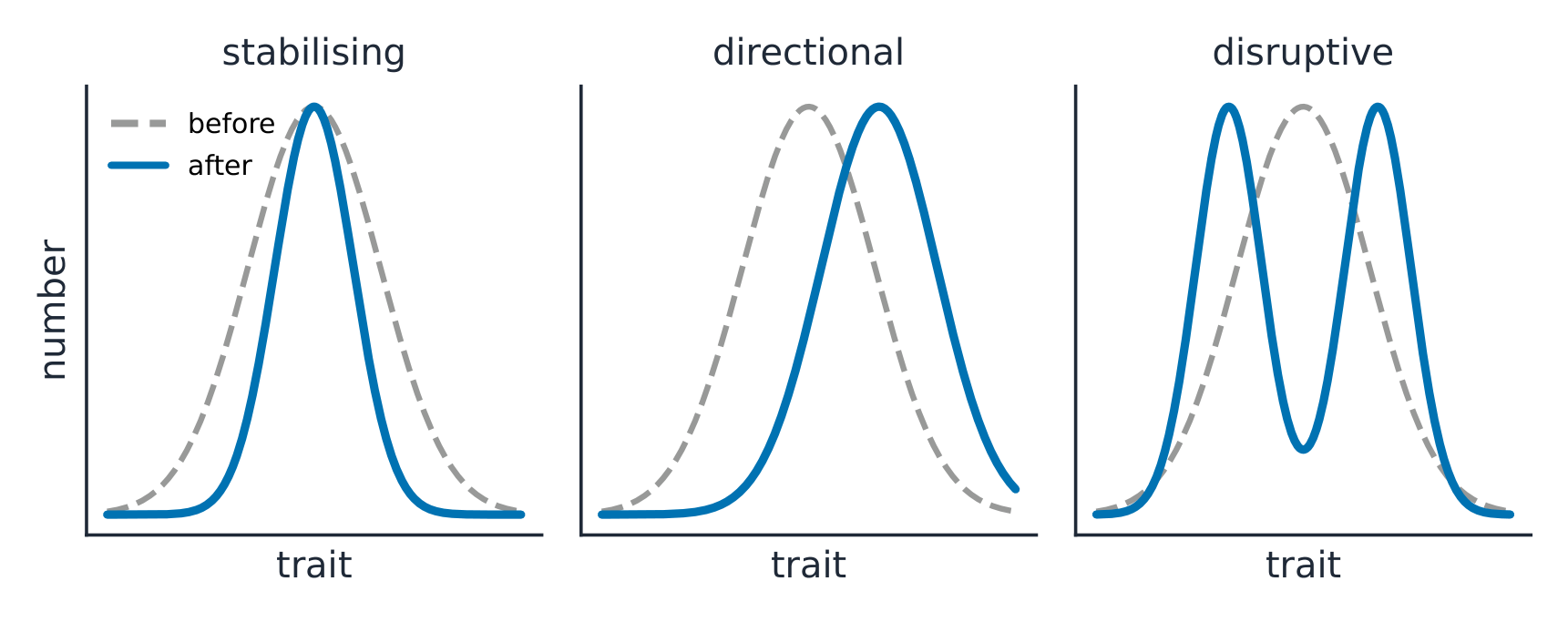 Stabilising, directional, and disruptive selection