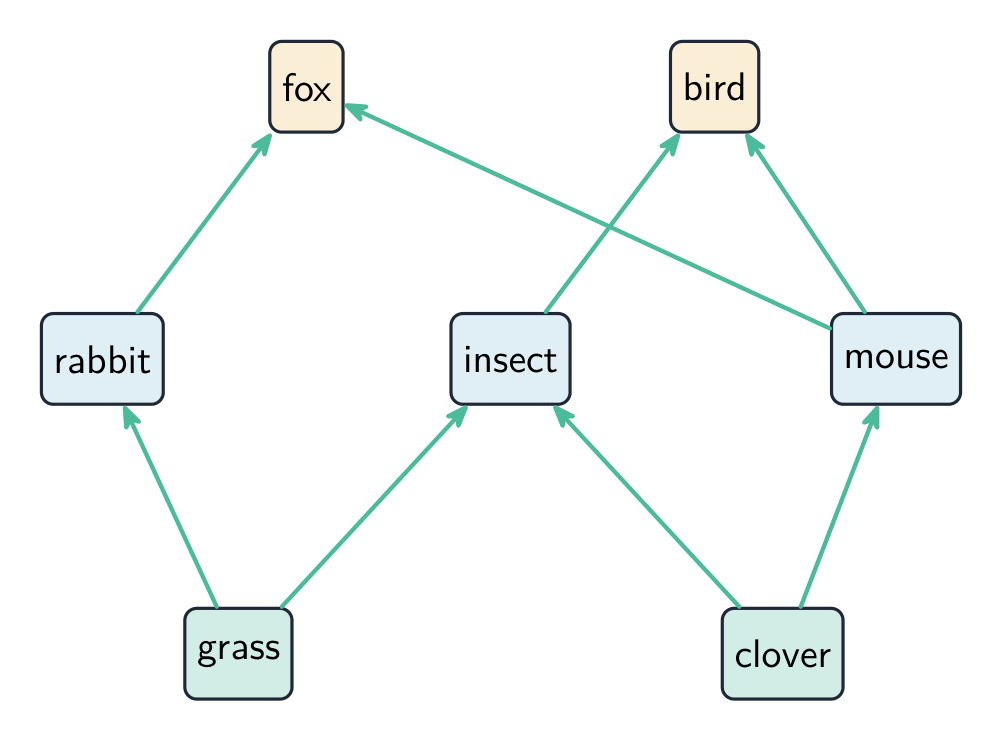 A food web links several food chains together