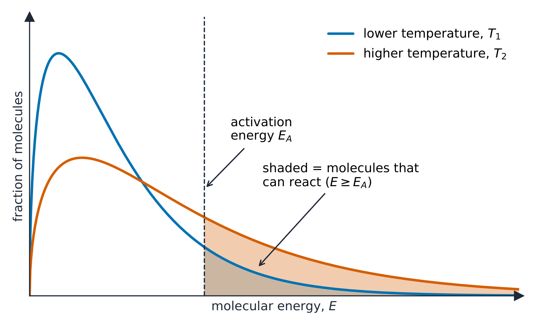 The Maxwell-Boltzmann distribution of molecular speeds shifts right when heated
