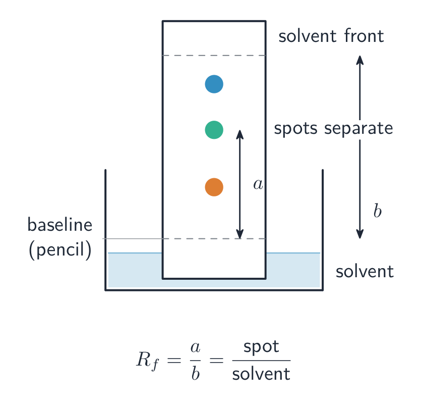 Paper chromatography separates a mixture as the solvent rises up the paper