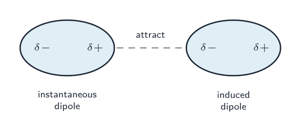London dispersion: an instantaneous dipole induces a dipole in a neighbour