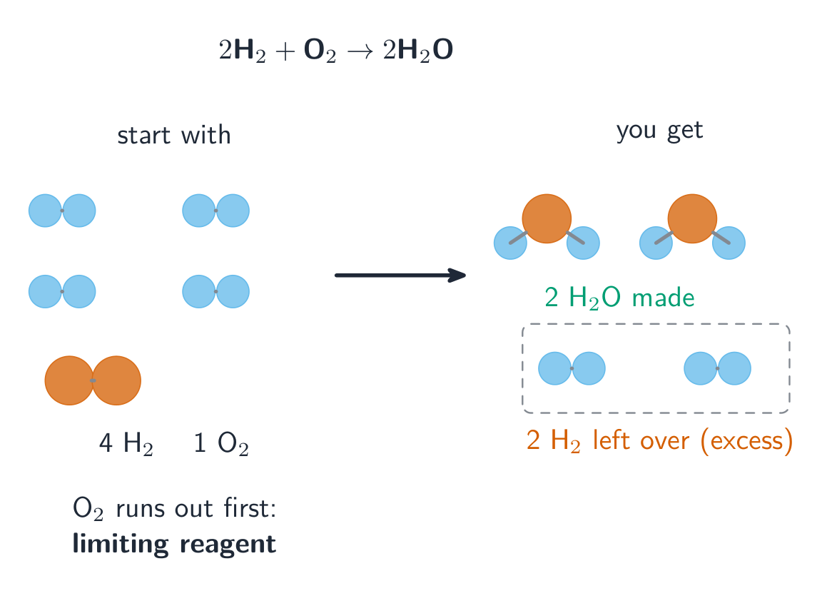 The limiting reactant runs out first and decides how much product forms