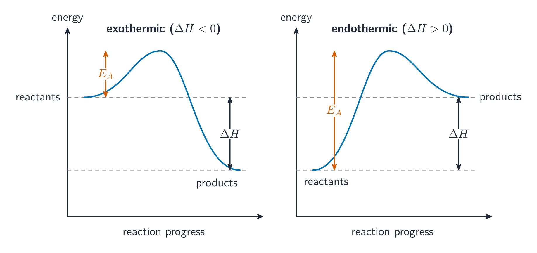 Exothermic reactions end lower than the reactants; endothermic end higher