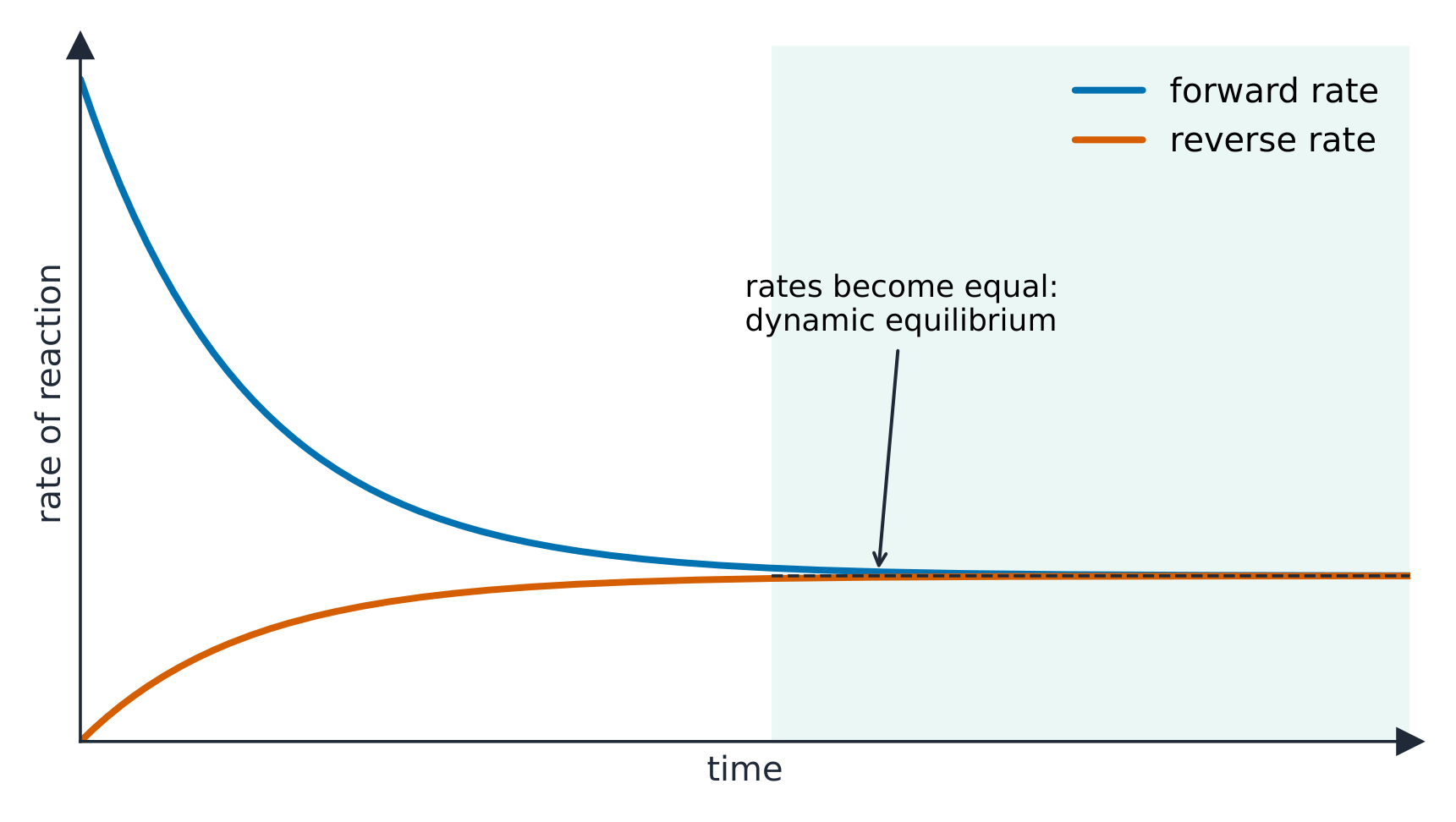 Dynamic equilibrium: the forward and reverse rates become equal