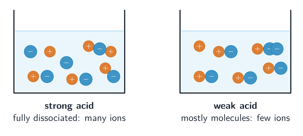 A strong acid is fully dissociated; a weak acid is only partly dissociated