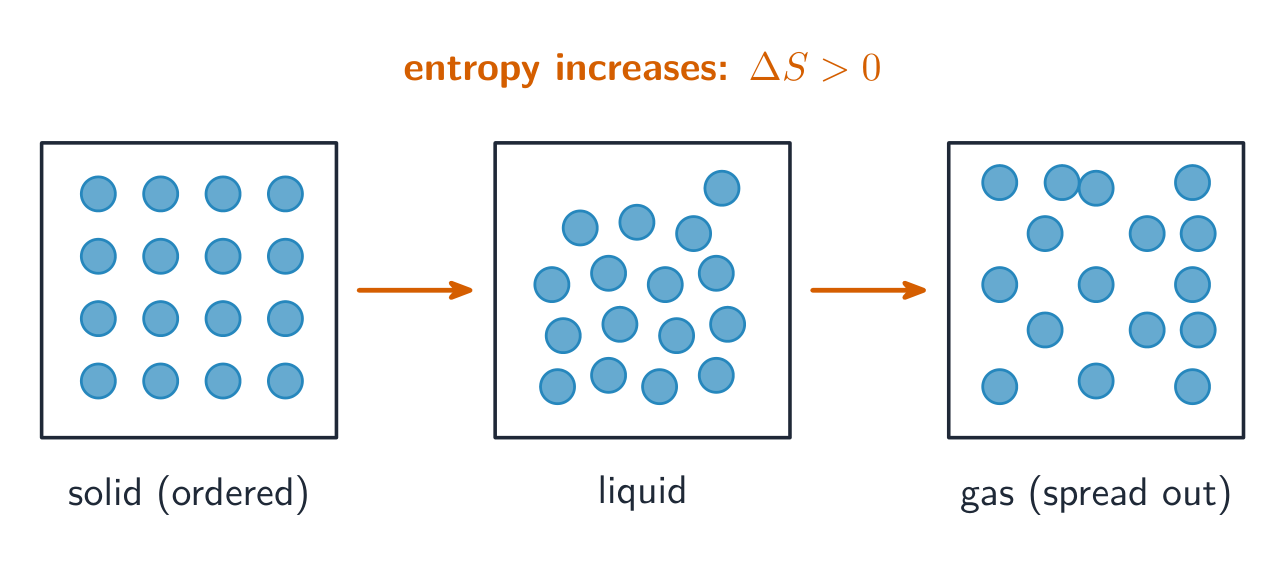 Entropy rises from solid to liquid to gas