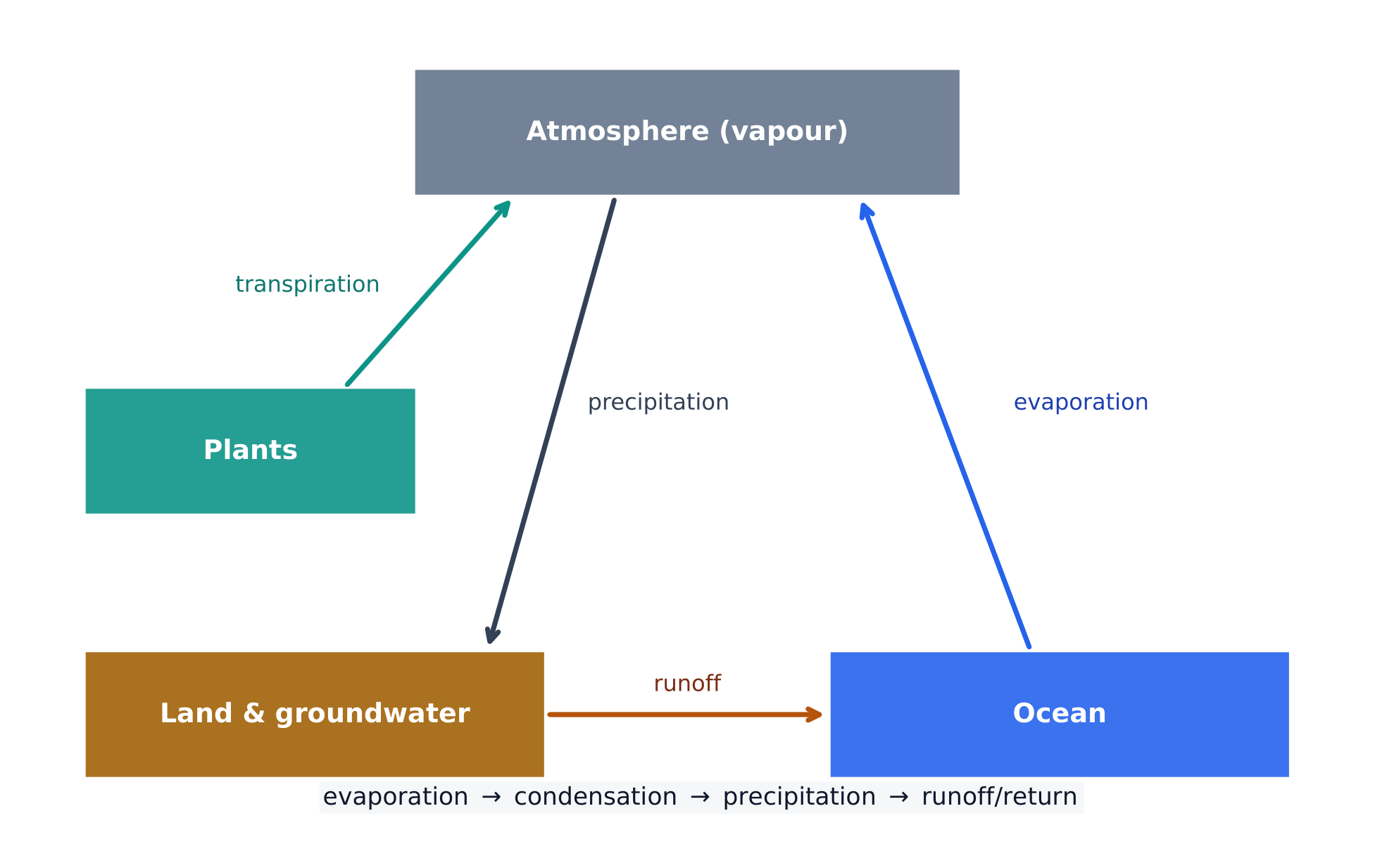 The water cycle: evaporation and transpiration lift water to the air; precipitation and runoff return it