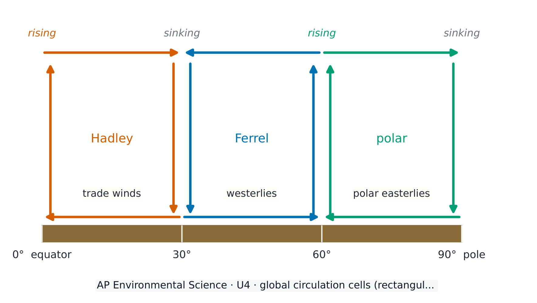 Three circulation cells per hemisphere set the prevailing surface winds
