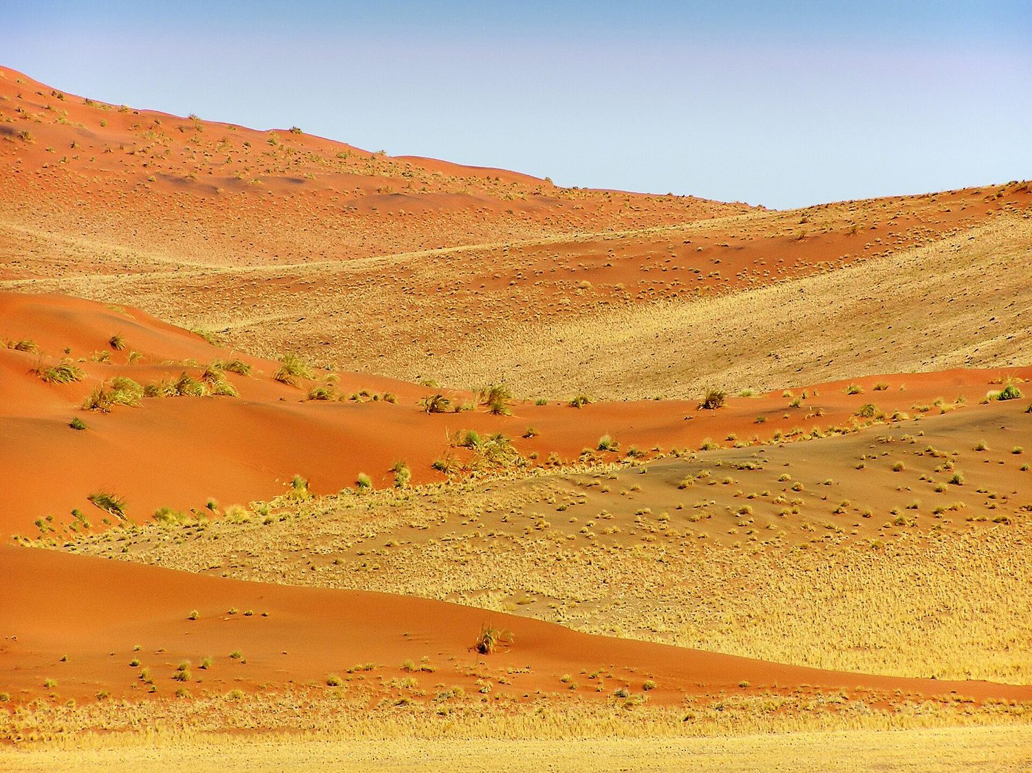 Desert dunes: latitude, altitude and ocean currents shape Earth's climate regions
