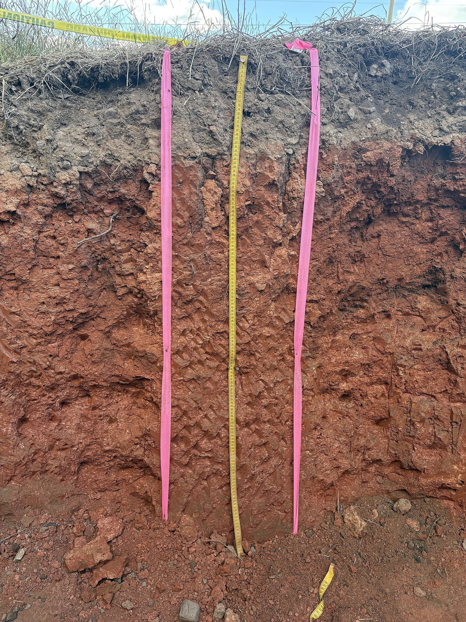 Soil horizons form over time as parent rock weathers; erosion can strip topsoil and reverse that progress