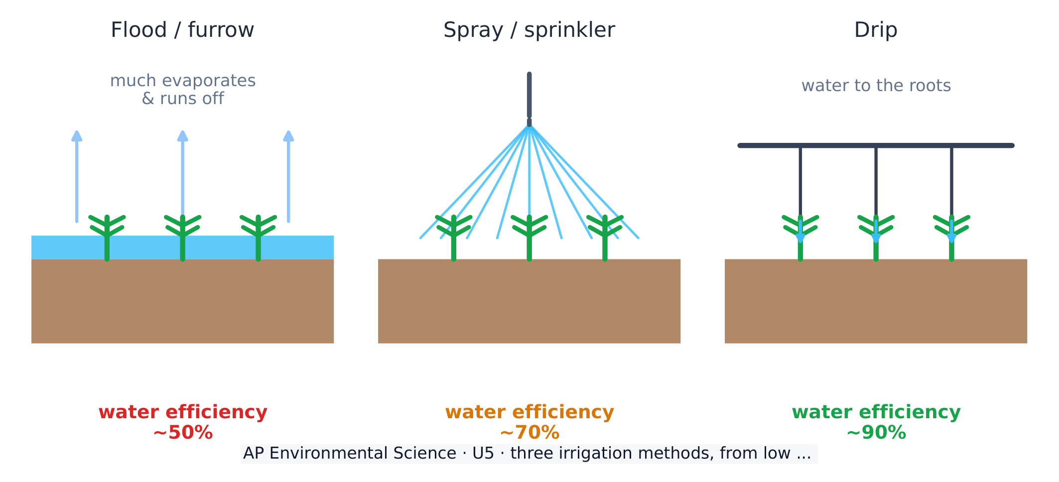Irrigation methods compared: drip wastes the least water, flooding the most