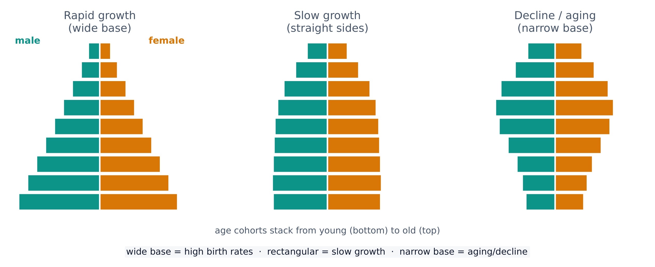 Three population-pyramid shapes: rapid growth, slow growth, and decline