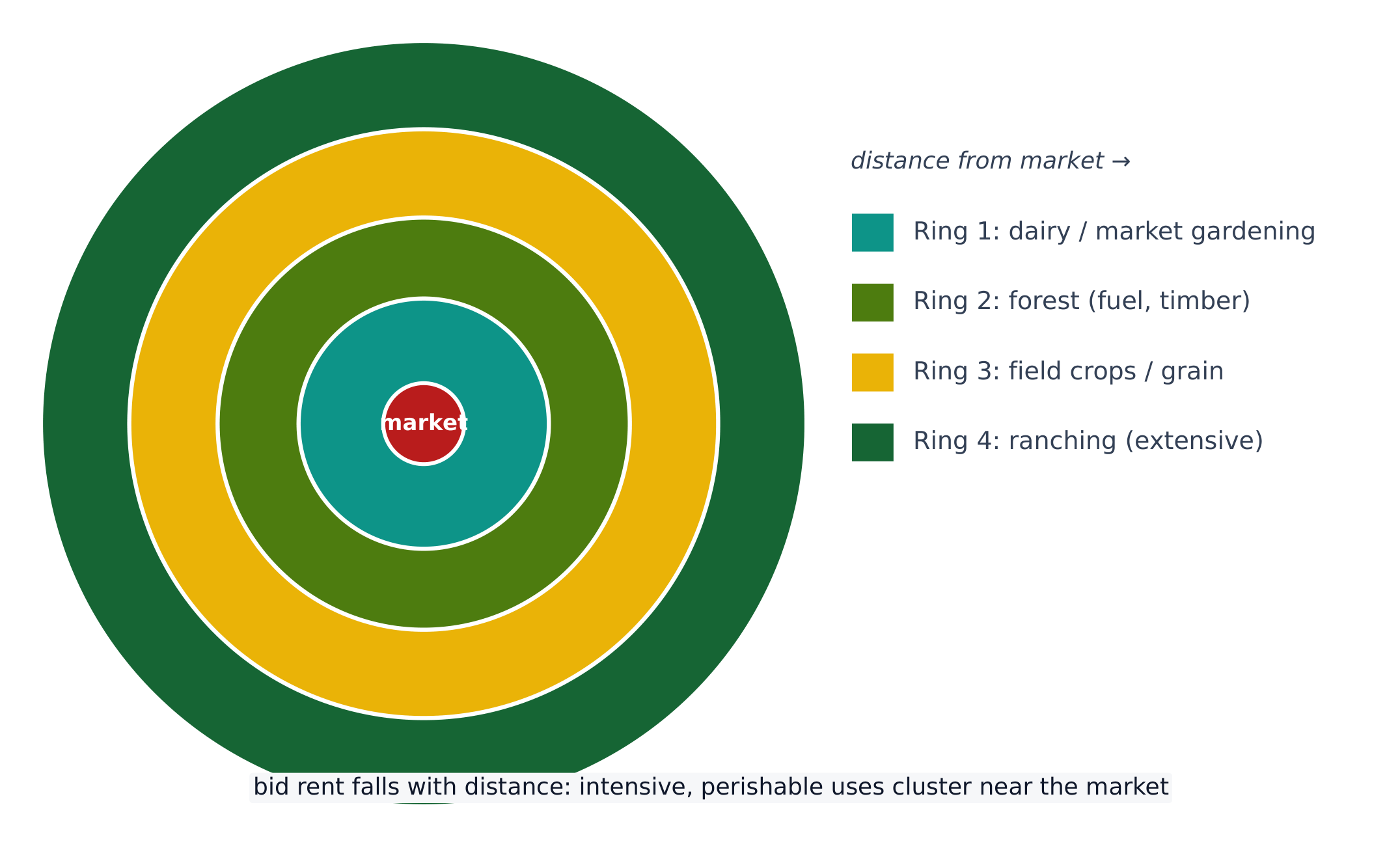 The von Thünen model: land use forms rings around a central market