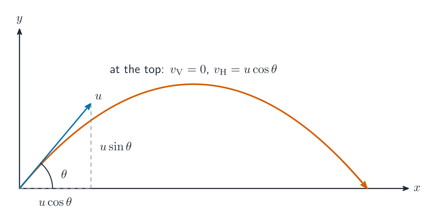 A projectile launched at an angle: the horizontal and vertical motions are independent