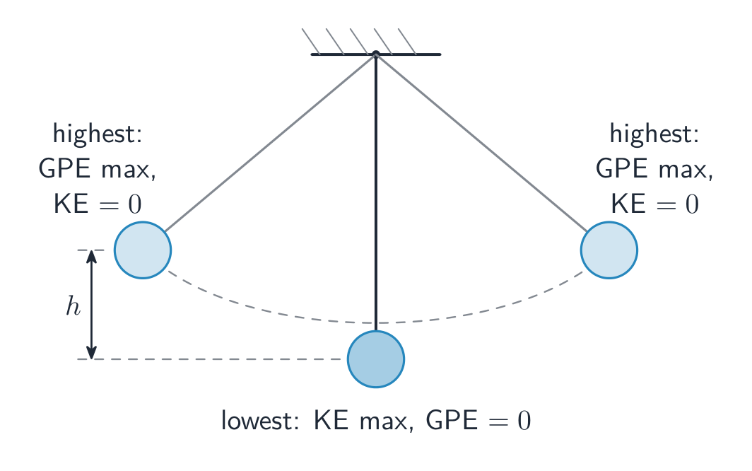 A swinging pendulum trades gravitational potential energy for kinetic energy and back