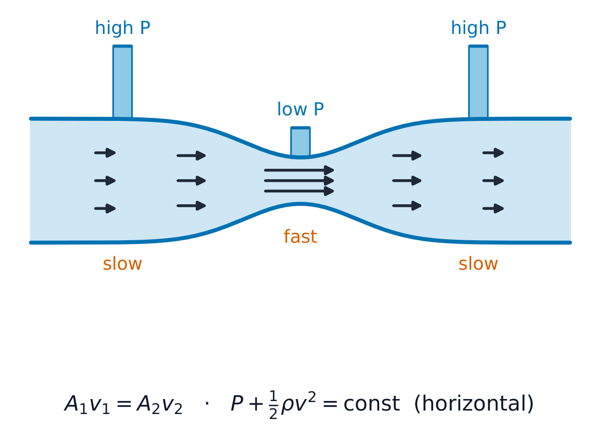Where the pipe narrows the fluid speeds up (continuity) and its pressure drops (Bernoulli)