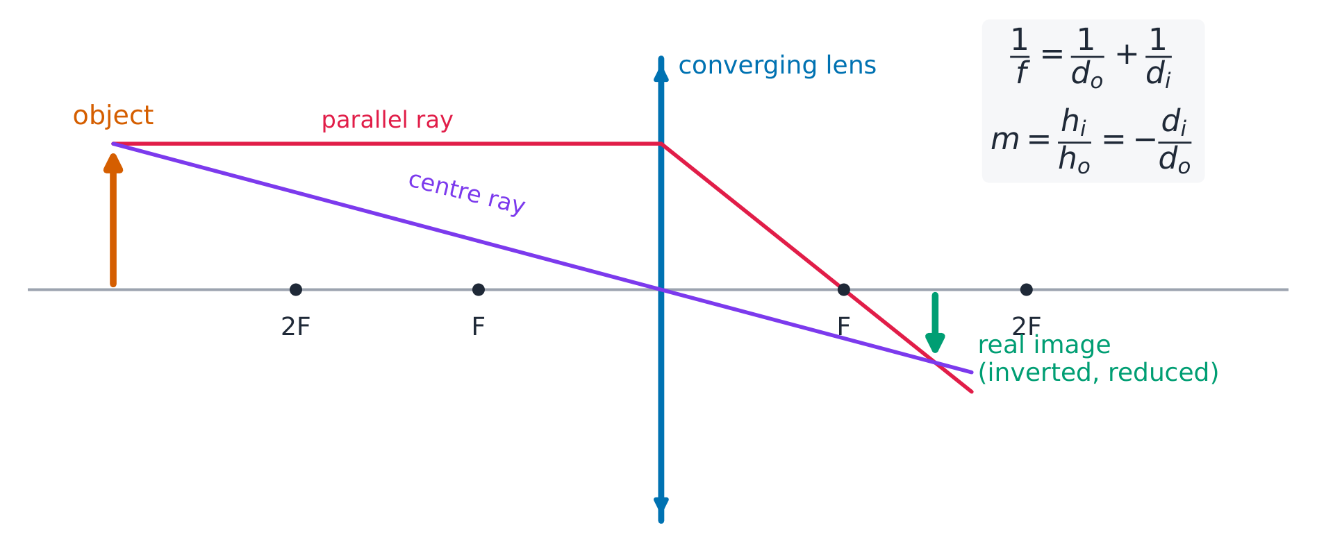 Two rays locate the image: parallel-then-focus, and straight through the centre