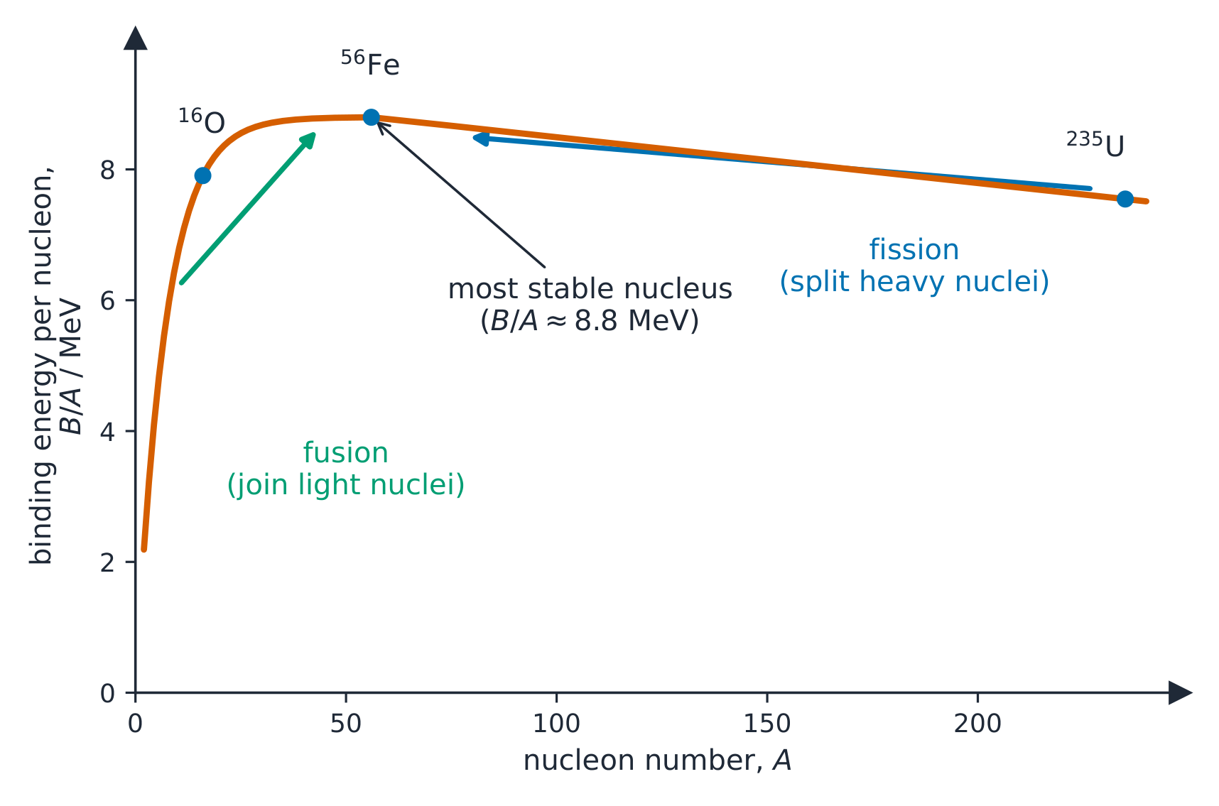 Binding energy per nucleon peaks near iron, so both fusion and fission can release energy