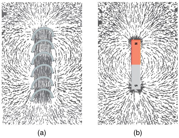 Iron filings around a current-carrying coil