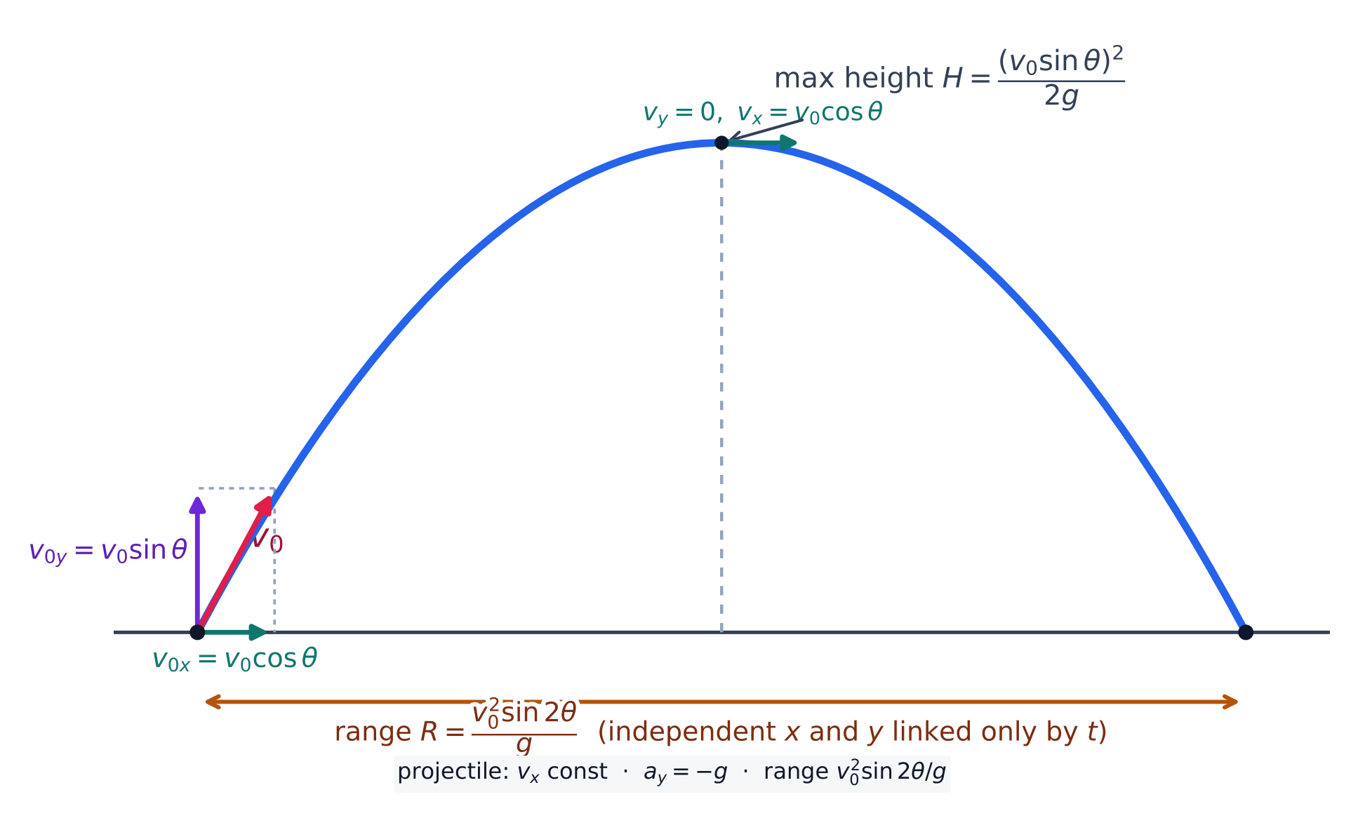 A projectile launched at an angle: velocity components, maximum height, and range
