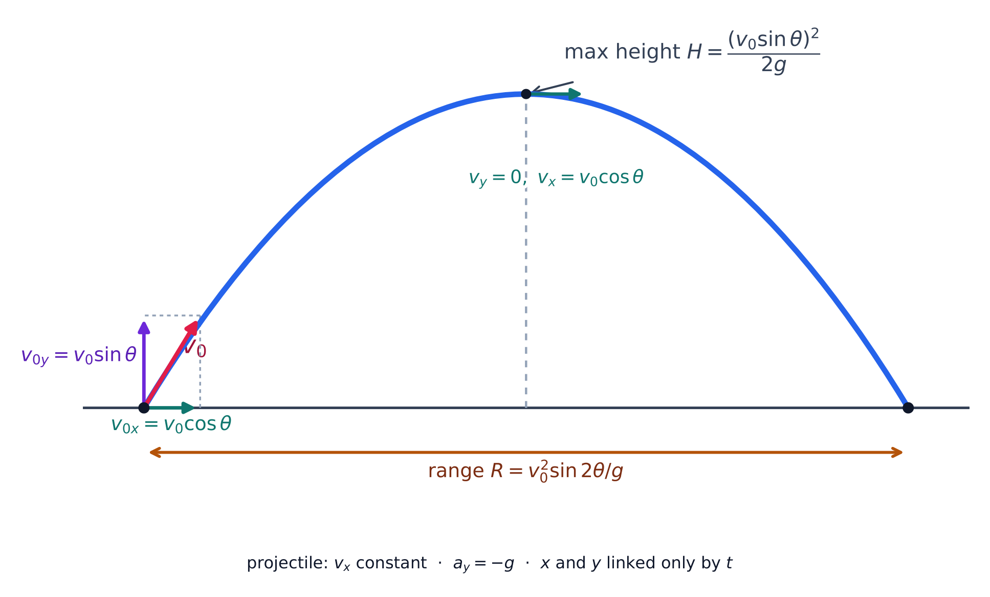 Un projectile lancé à un angle : composantes de vitesse, hauteur maximale et portée