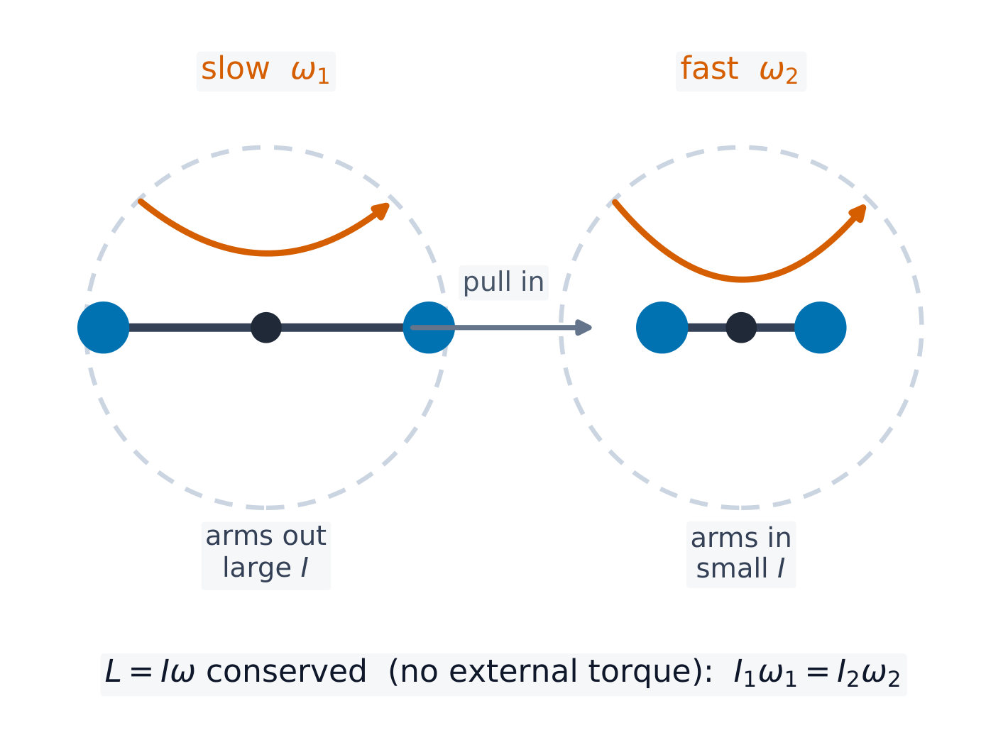Pulling mass inward lowers I, so ω rises to conserve L = Iω
