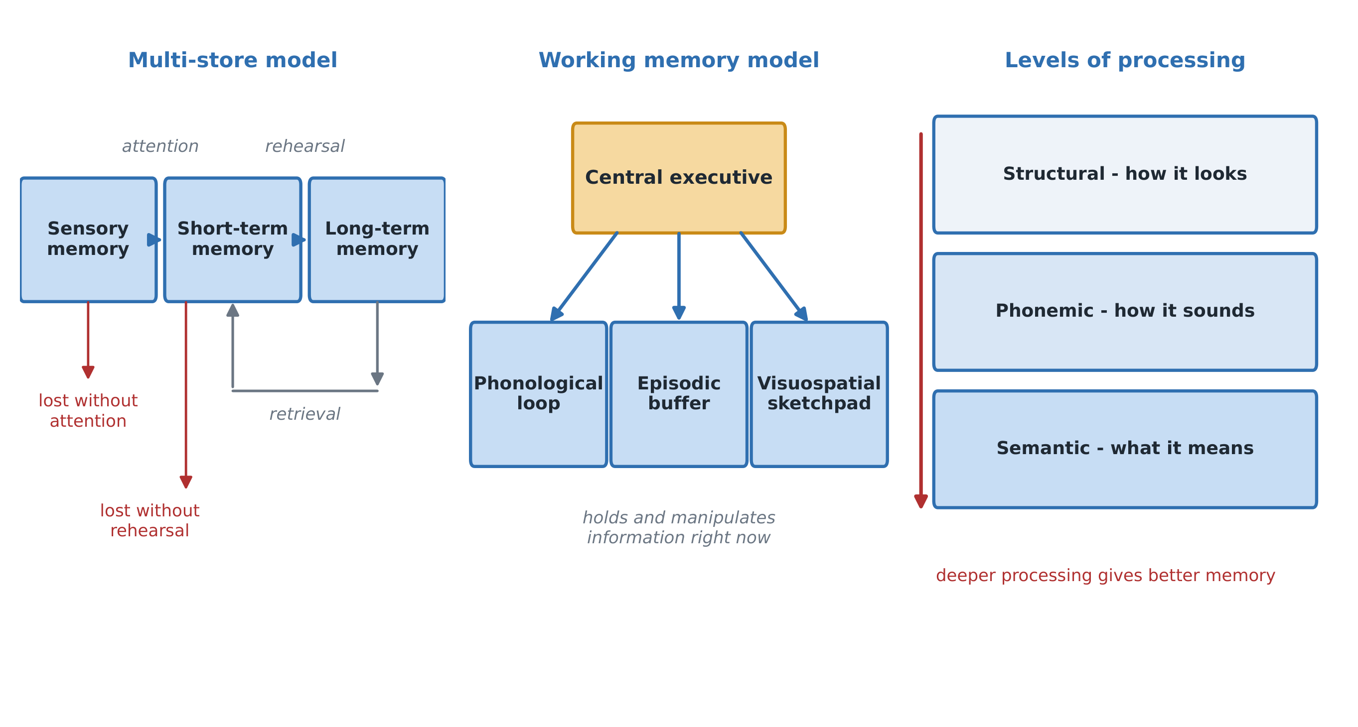 Three memory models side by side: the multi-store flow, working memory's components, and the levels-of-processing depth scale