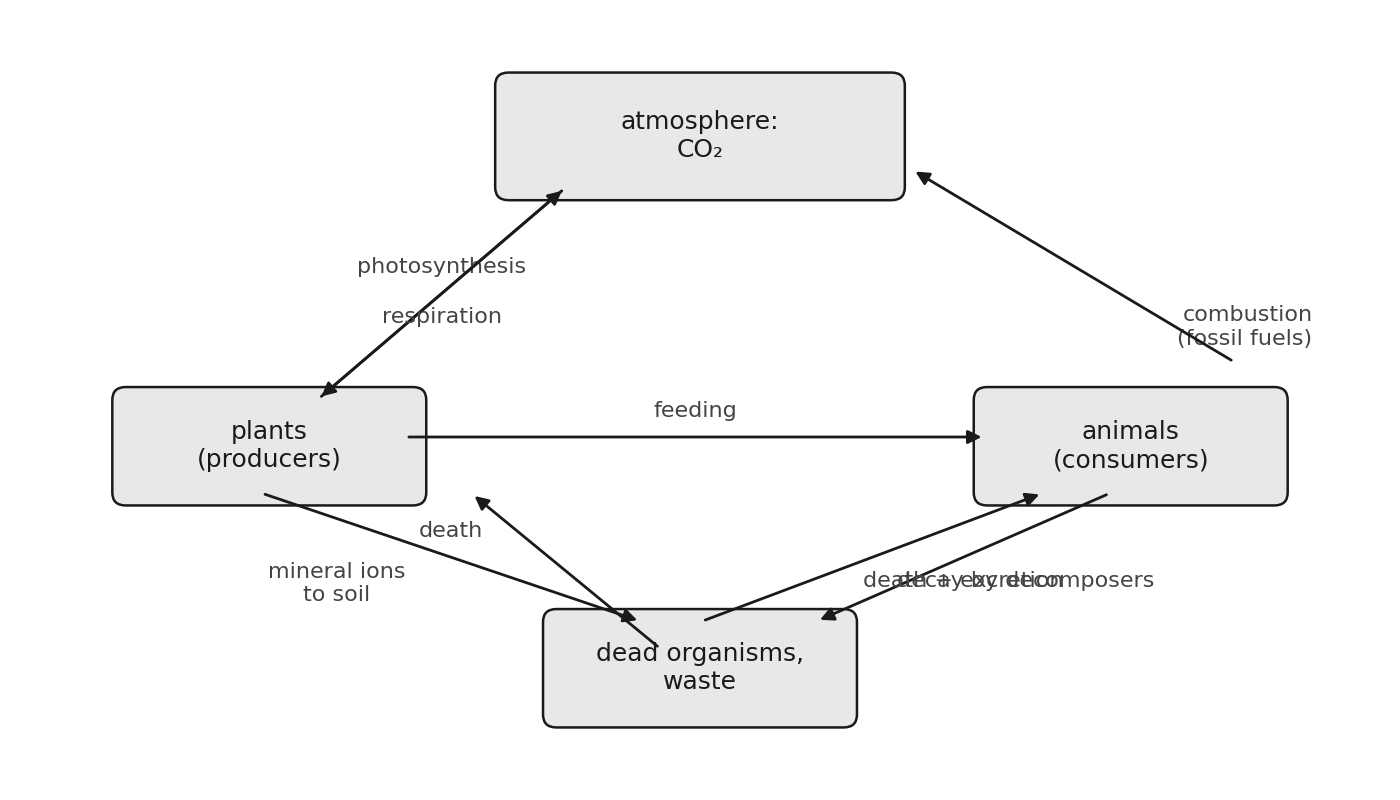 Ciclo del carbono: la fotosíntesis absorbe CO2 en las plantas, los alimentos transfieren carbono a los animales, la descomposición por descomponedores lo devuelve, con la respiración y la combustión liberando CO2.