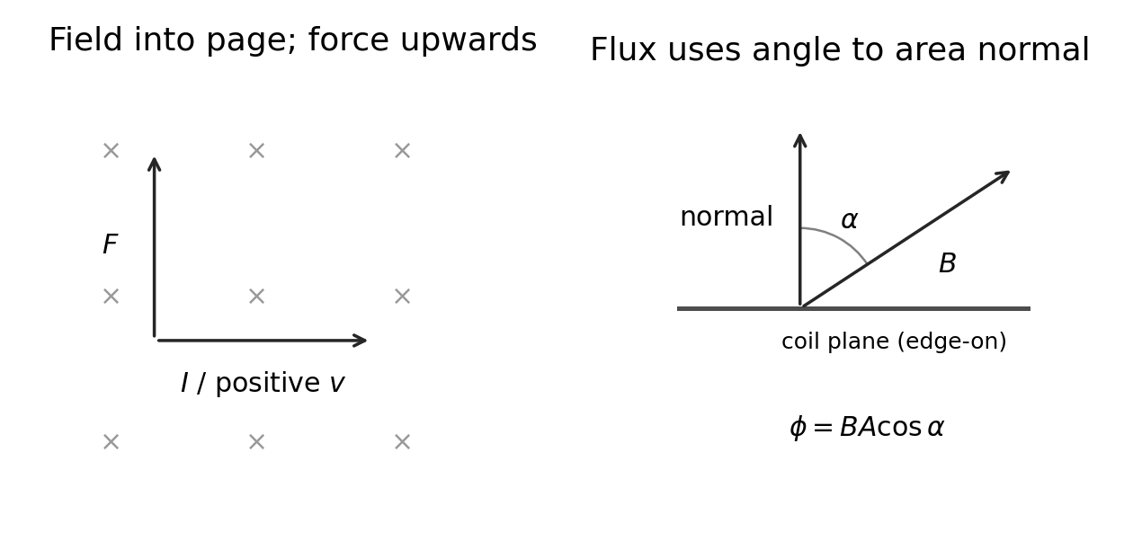 Magnetic force direction and the angle between field and the coil’s area normal.