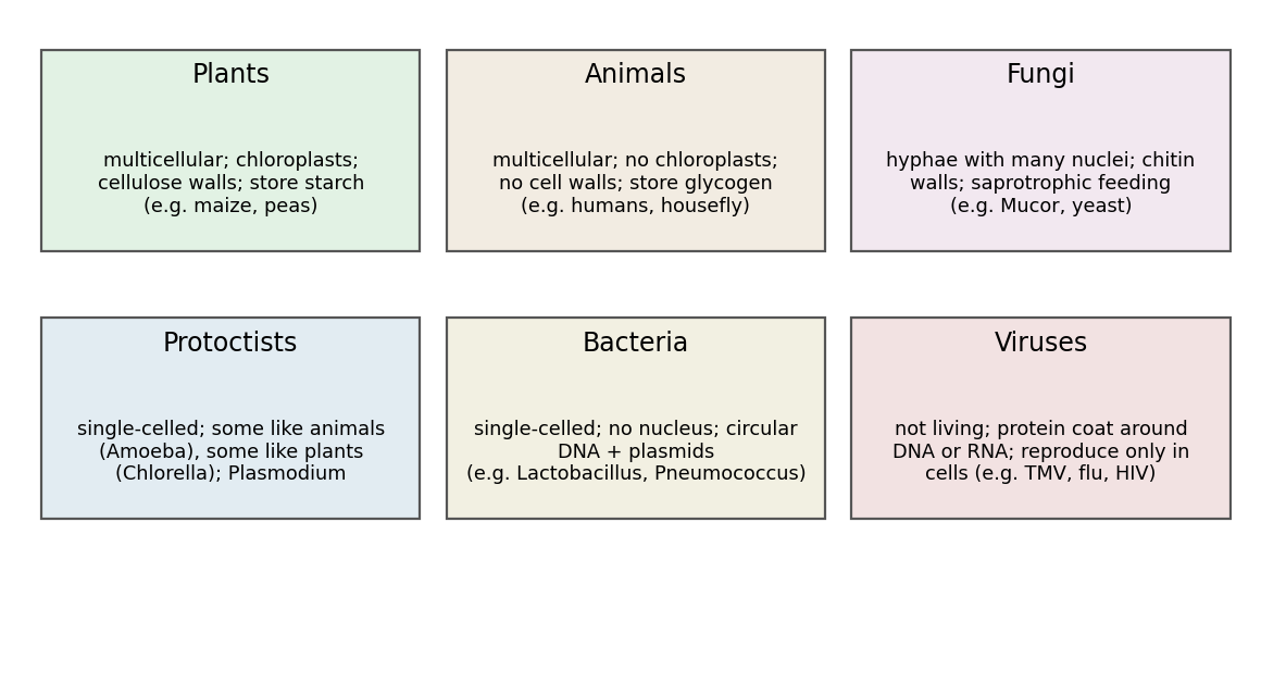 One panel per group with the features to recall and a named example for each.