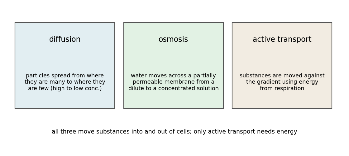 Diffusion, osmosis and active transport summarised; only active transport needs energy.