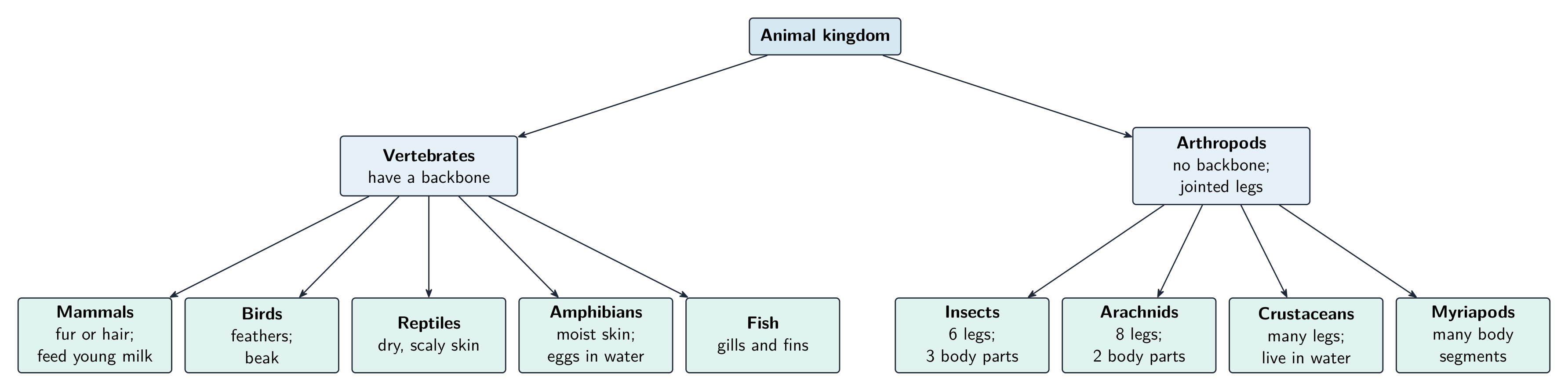 El reino Animal se divide en vertebrados con columna vertebral y artrópodos sin ella, cada uno con sus grupos principales