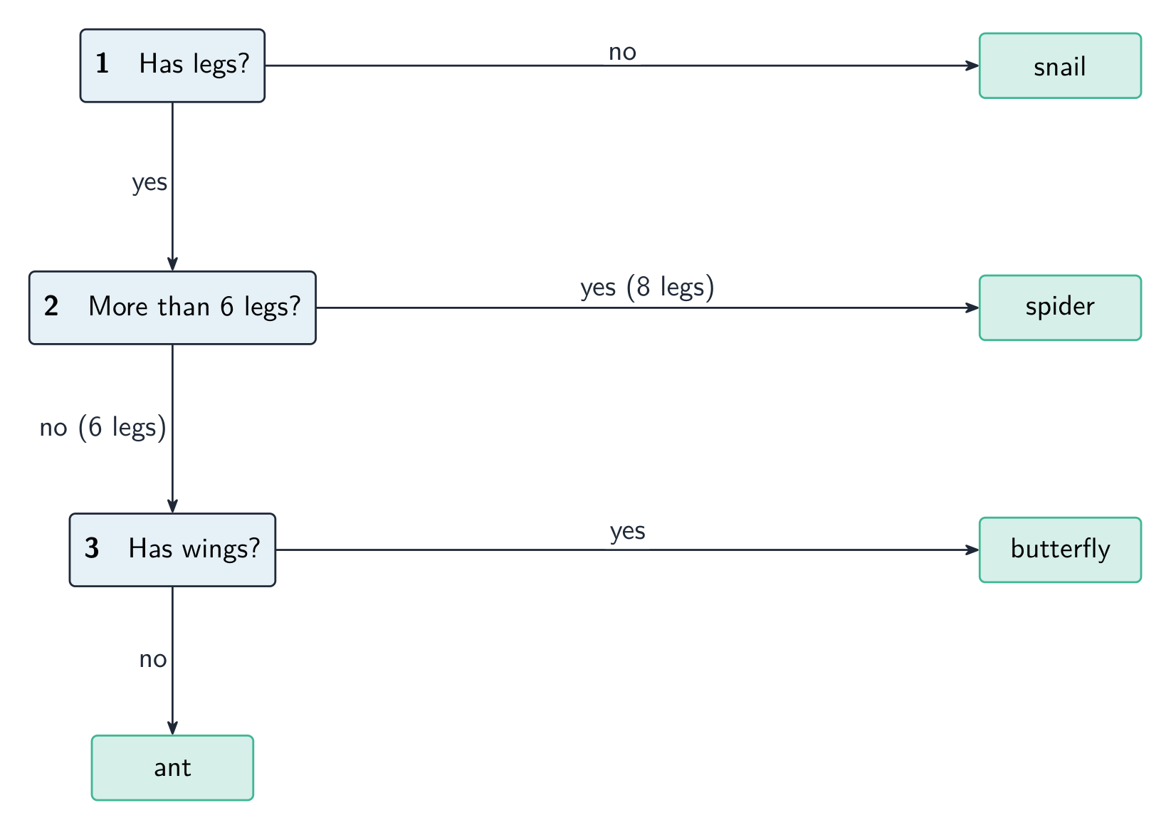 A dichotomous key as a flowchart: each numbered step splits into two choices, leading to the next step or to a named animal