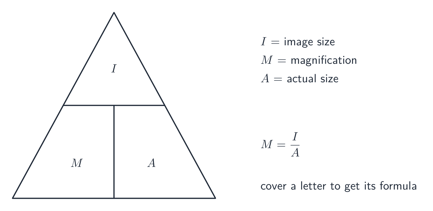 A formula triangle with image size on top and magnification and actual size below; cover the quantity you want to read off its formula