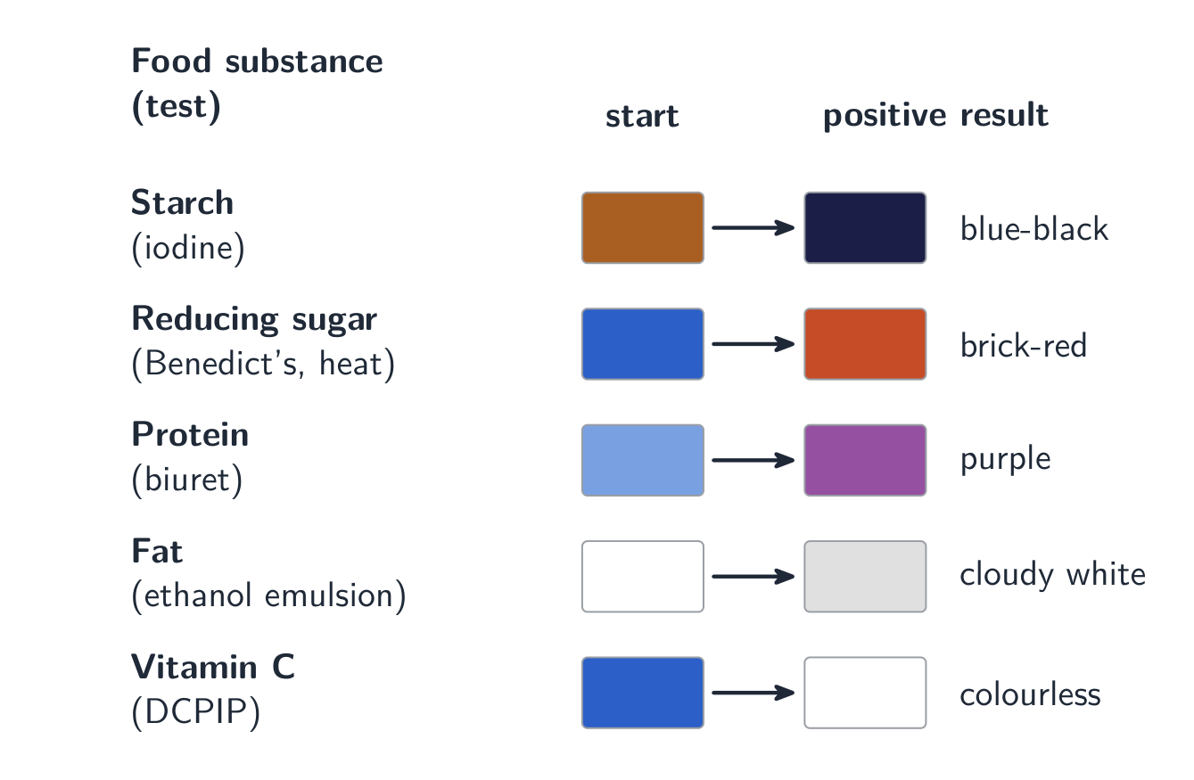 A chart of the food tests showing the start colour changing to the positive-result colour for starch, reducing sugar, protein, fat and vitamin C
