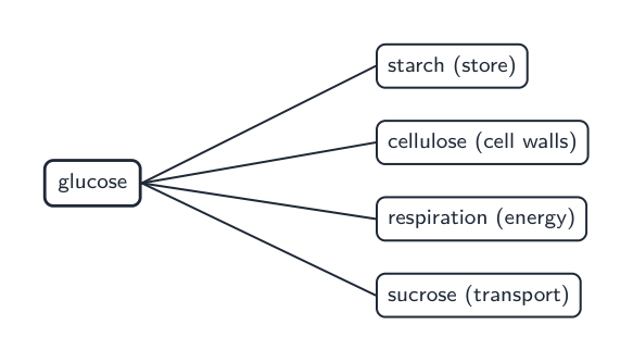 Glucose is used for starch, cellulose, respiration and transport