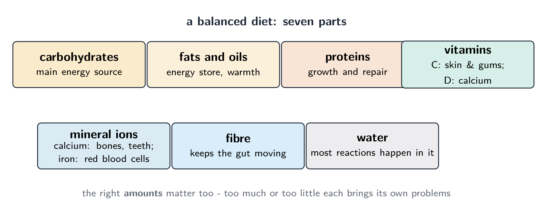The seven parts of a balanced diet, each with its job: carbohydrates for energy, fats for an energy store, proteins for growth and repair, vitamins, mineral ions, fibre and water