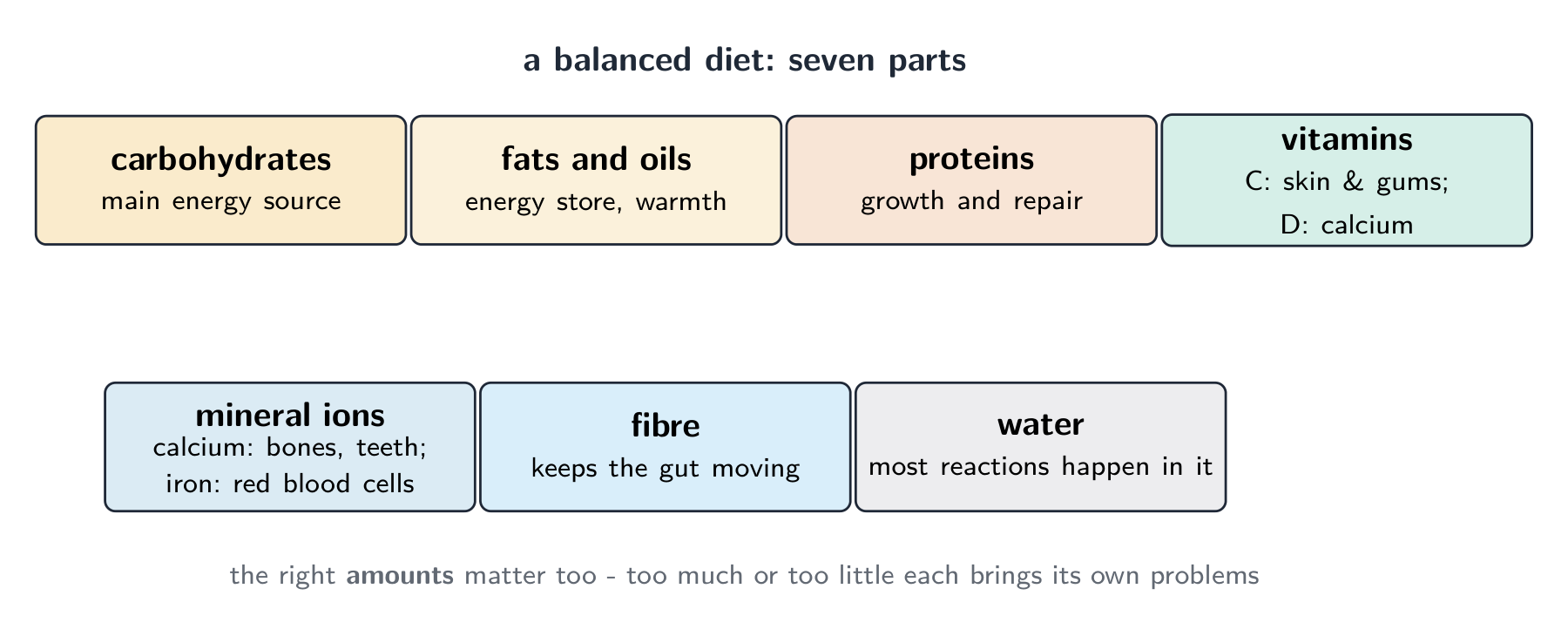 Las siete partes de una dieta equilibrada, cada una con su función: carbohidratos para energía, grasas como reserva energética, proteínas para el crecimiento y la reparación, vitaminas, iones minerales, fibra y agua